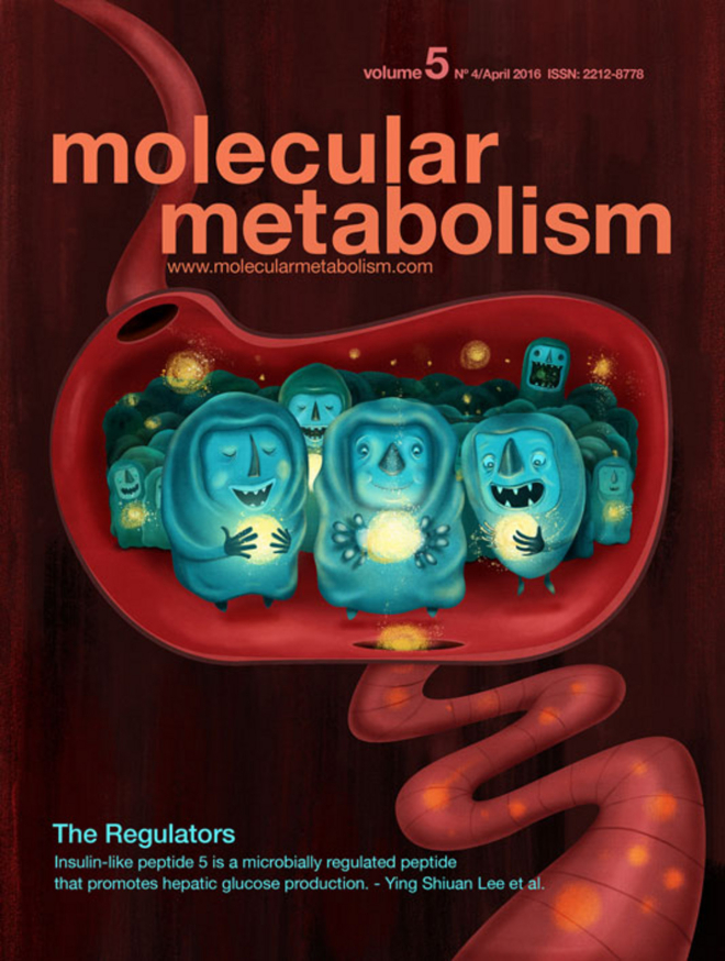 Molecular_metabolism_2016